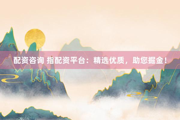 配资咨询 指配资平台：精选优质，助您掘金！