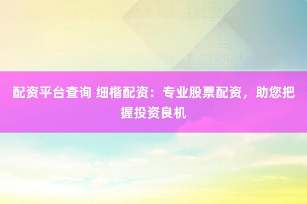 配资平台查询 细楷配资：专业股票配资，助您把握投资良机