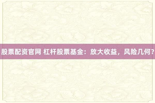 股票配资官网 杠杆股票基金：放大收益，风险几何？