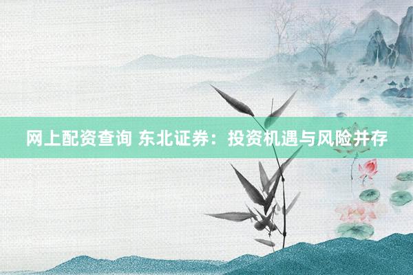 网上配资查询 东北证券:投资机遇与风险并存