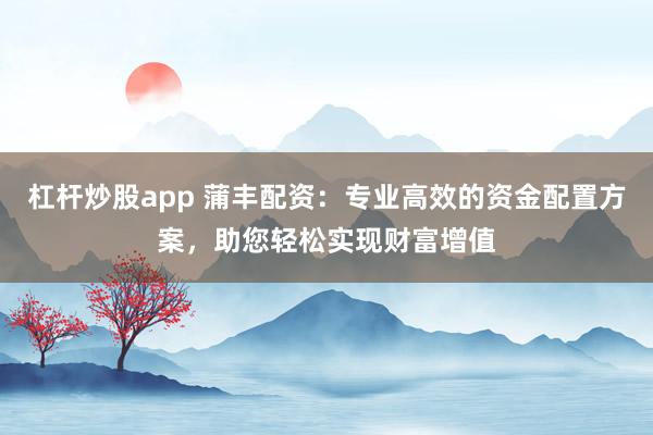 杠杆炒股app 蒲丰配资：专业高效的资金配置方案，助您轻松实现财富增值
