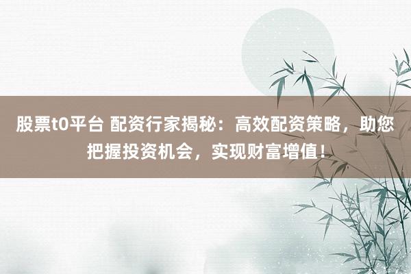 股票t0平台 配资行家揭秘：高效配资策略，助您把握投资机会，实现财富增值！