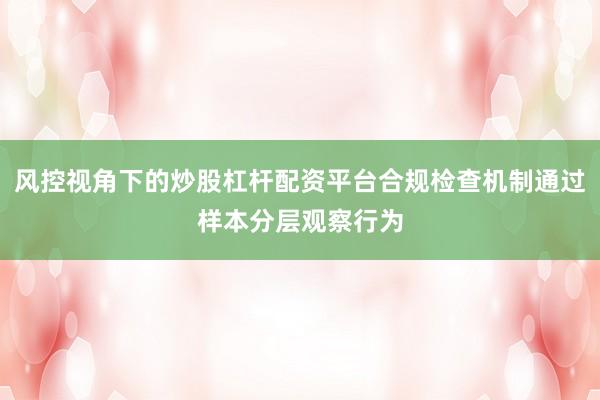 风控视角下的炒股杠杆配资平台合规检查机制通过样本分层观察行为
