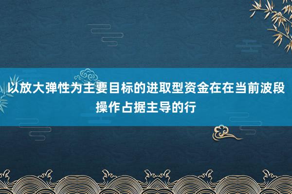 以放大弹性为主要目标的进取型资金在在当前波段操作占据主导的行