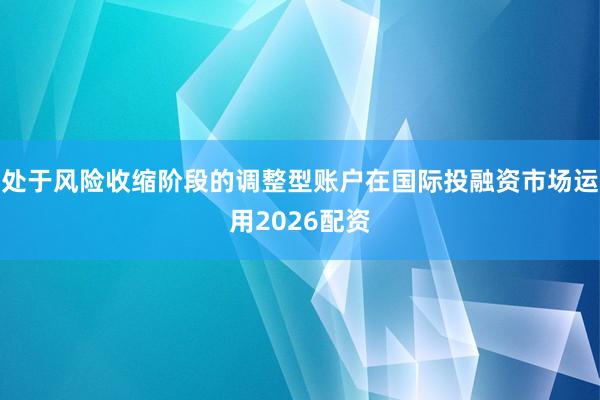 处于风险收缩阶段的调整型账户在国际投融资市场运用2026配资