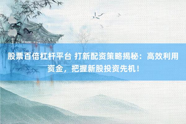 股票百倍杠杆平台 打新配资策略揭秘：高效利用资金，把握新股投资先机！