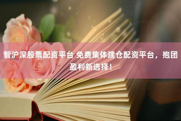 智沪深股票配资平台 免费集体建仓配资平台，抱团盈利新选择！