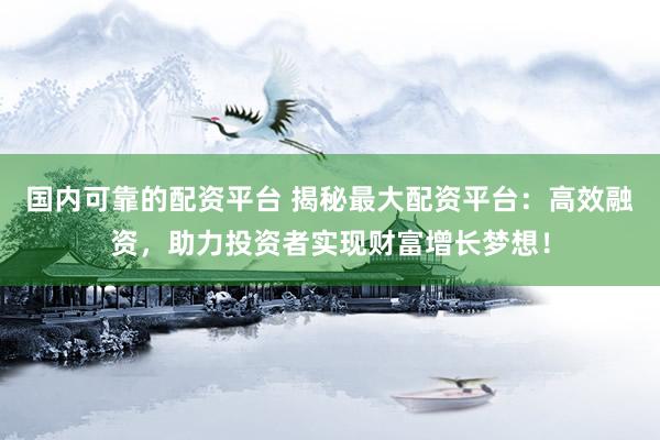 国内可靠的配资平台 揭秘最大配资平台:高效融资,助力投资者实现财富增长梦想!