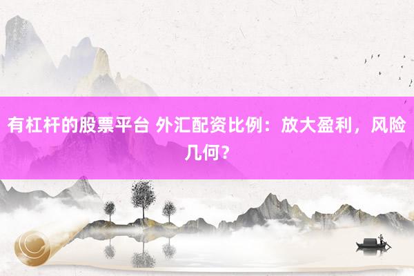 有杠杆的股票平台 外汇配资比例：放大盈利，风险几何？